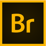 Adobe Bridge 2021 v11.0 incl. ARC13.1 for Mac