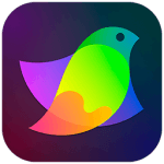 Amadine 1.0.5 for Mac
