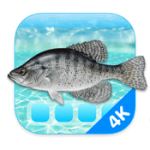 Aquarium 4K – Live Wallpaper 1.0.4 for Mac 1 Aquarium 4K – Live Wallpaper 1.0.4 for Mac
