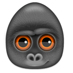 Debookee 7.5.2 for Mac 1 Debookee 7.5.2 for Mac