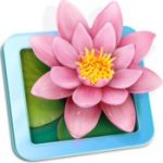 LilyView 1.5.0 for Mac 1 LilyView 1.5.0 for Mac