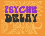 Native Instruments Psyche Delay 1.3.3 for Mac