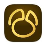 Navicat Premium 17.1.5 for Mac