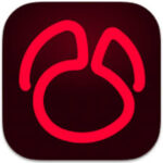 Navicat for Oracle 17.1.9 for Mac