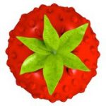 Smultron 12.1.2 for Mac 1 Smultron 12.1.2 for Mac