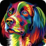Splash n Recolor 3.5 for Mac