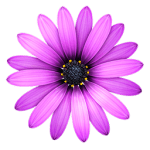 TextMate 2.0.22 for Mac