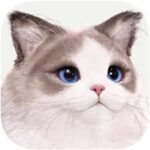 inZOI v0.8.5 for Mac
