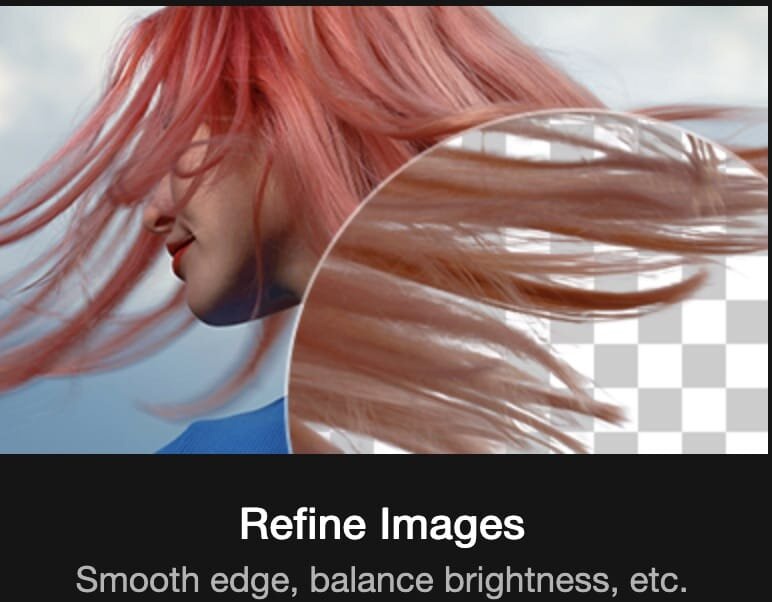 Aiarty Image Matting 2.7 for Mac screenshot