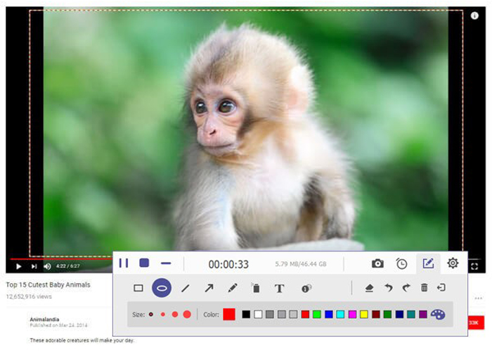 AnyMP4 Screen Recorder 2.2.20 for Mac screenshot