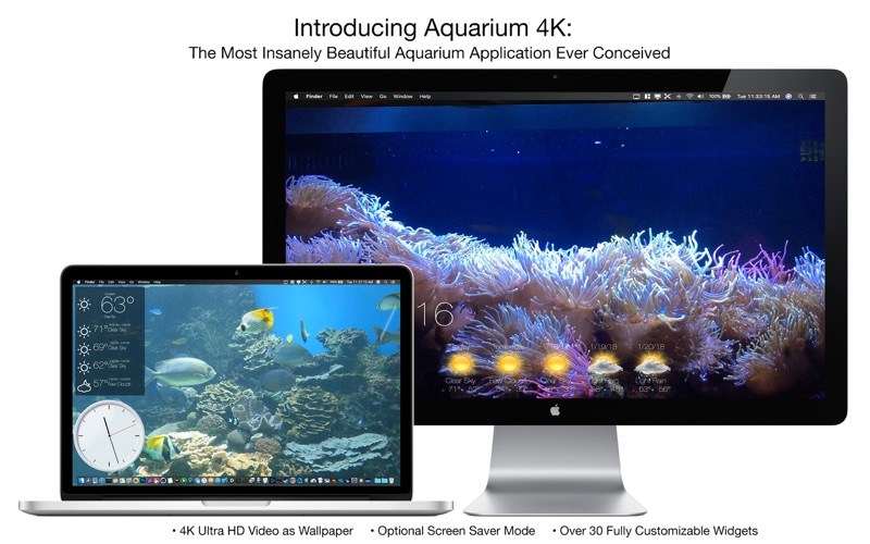 Aquarium 4K – Live Wallpaper 1.1.1 for Mac screenshot