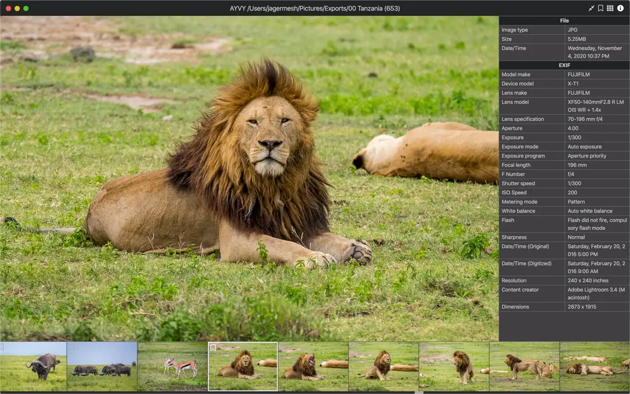 AYVY 1.11.0 for Mac screenshot