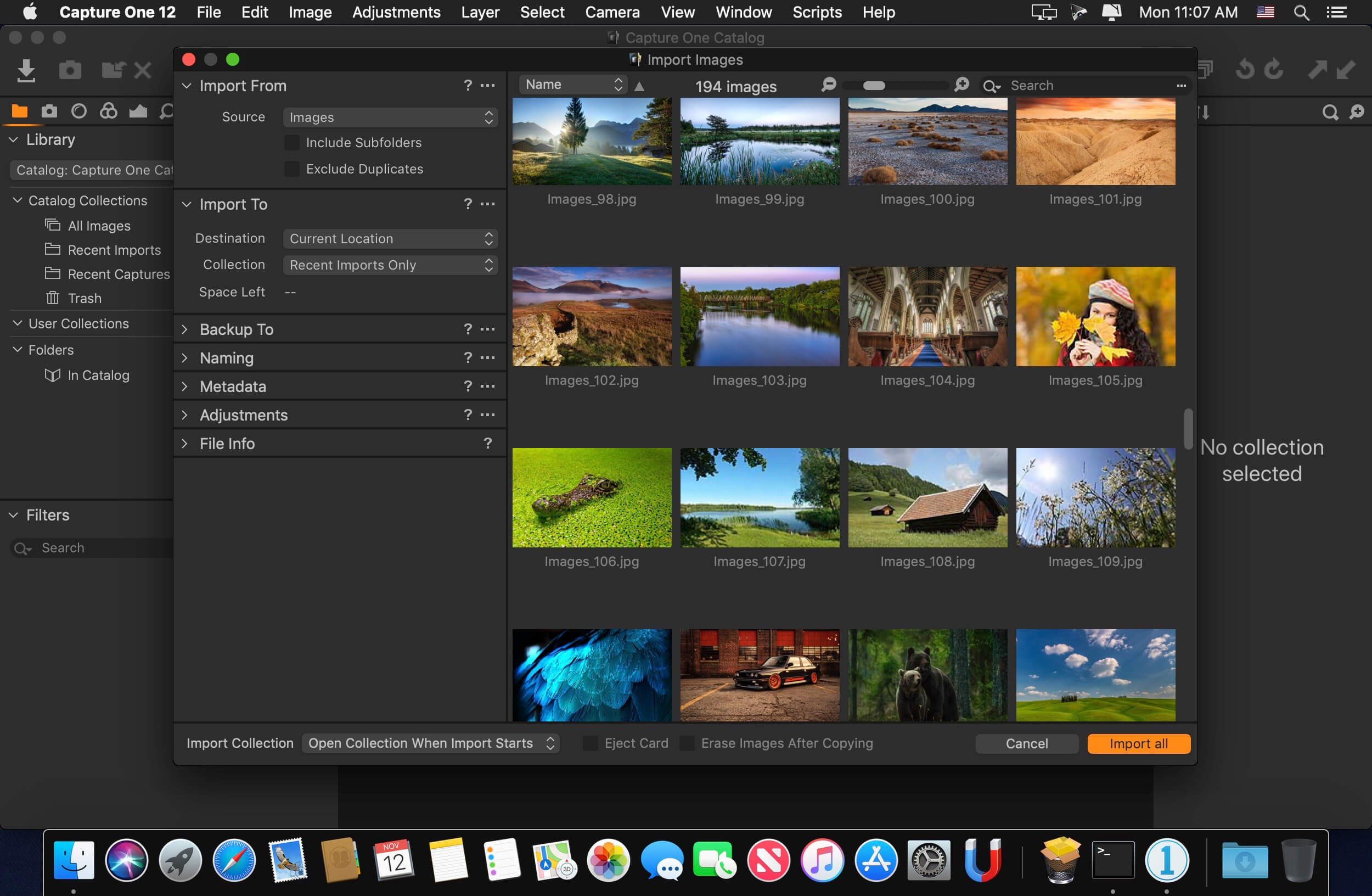 Capture One 21 Pro v14.2.0.121 Beta4 for Mac screenshot
