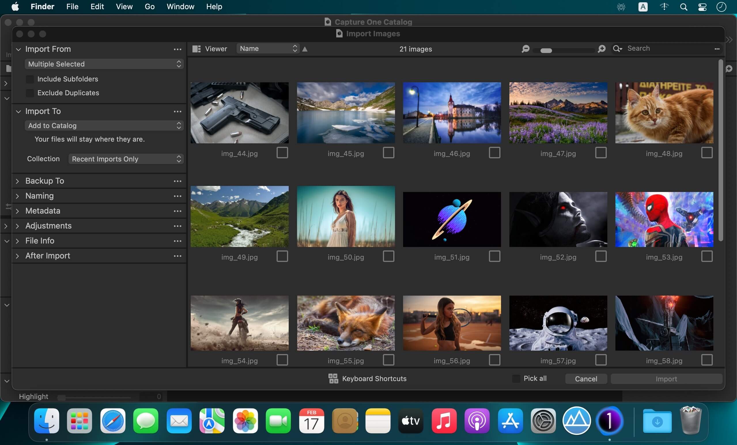 Capture One Enterprise 16.6.6.9 for Mac screenshot