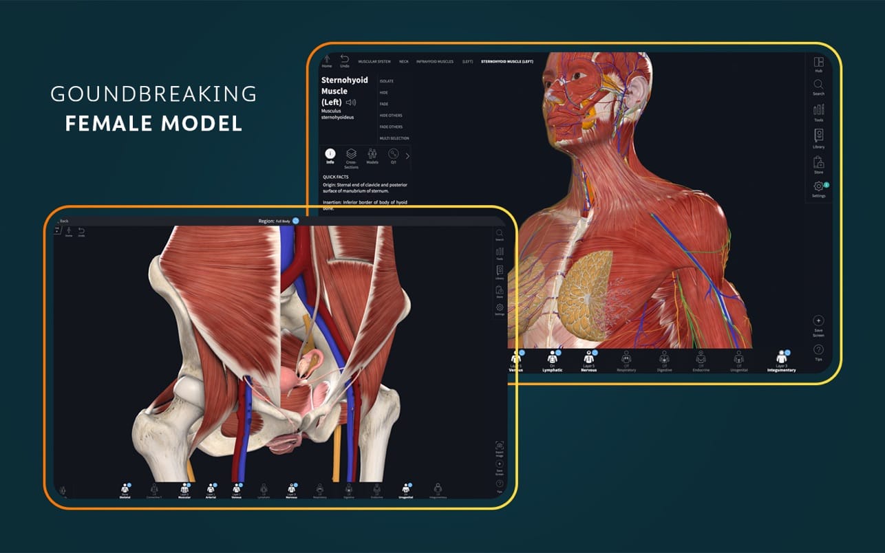 Complete Anatomy 11.5.0 for Mac screenshot