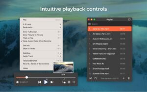 Elmedia Video Player Pro 8.24 for Mac screenshot
