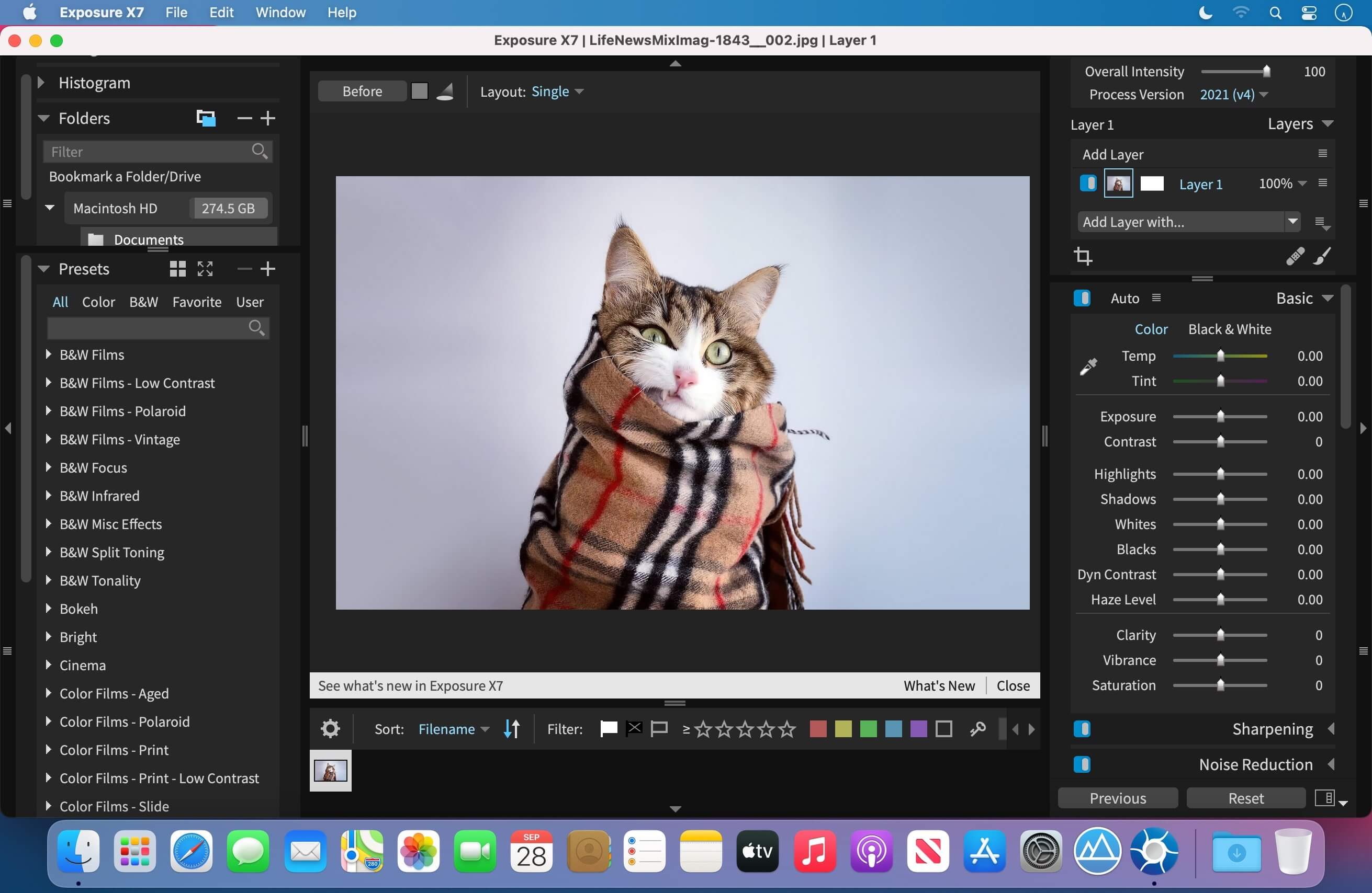 Exposure X7 Bundle 7.2.0.2 for Mac screenshot