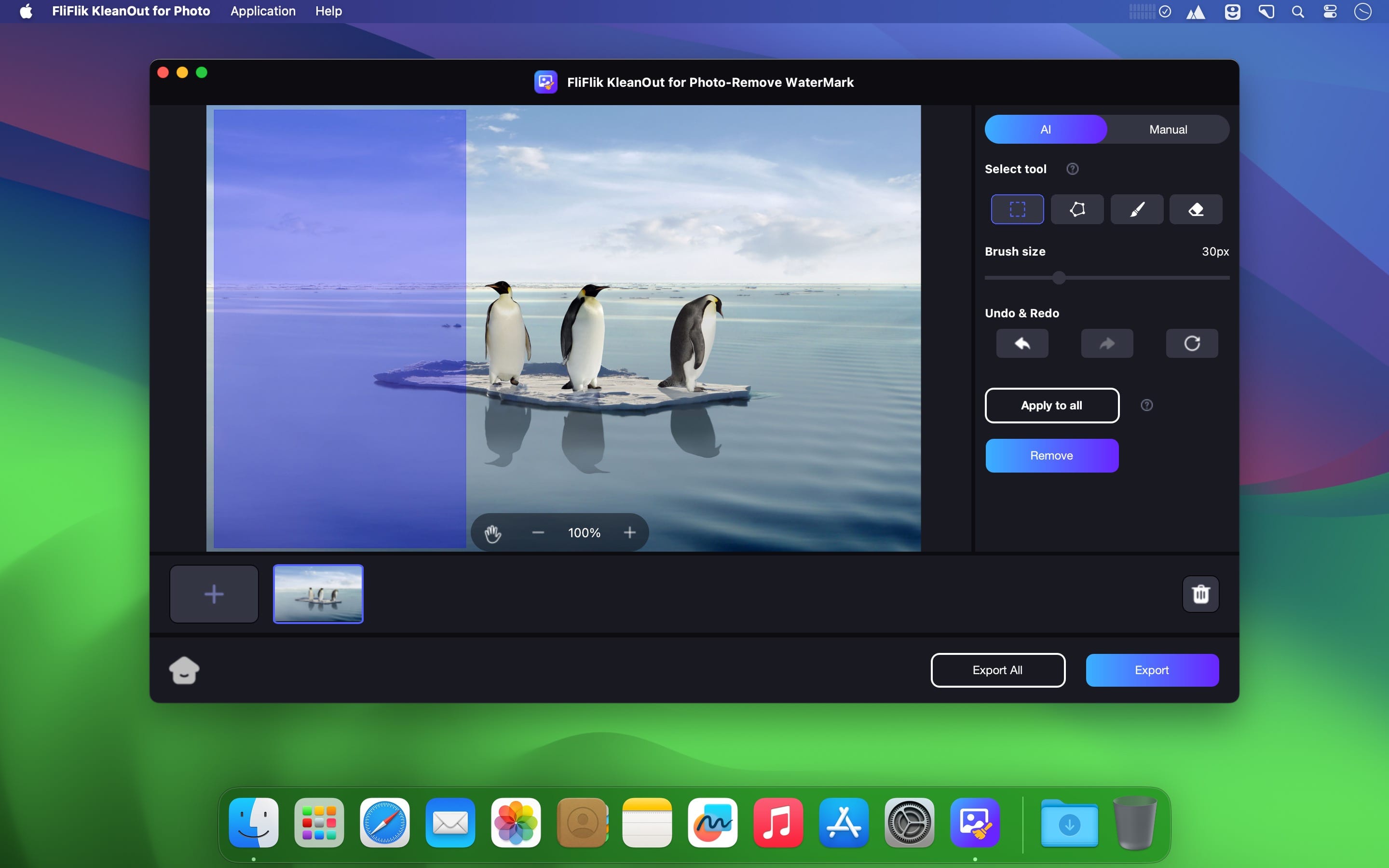 FliFlik KleanOut for Photo 6.3.0 for Mac screenshot