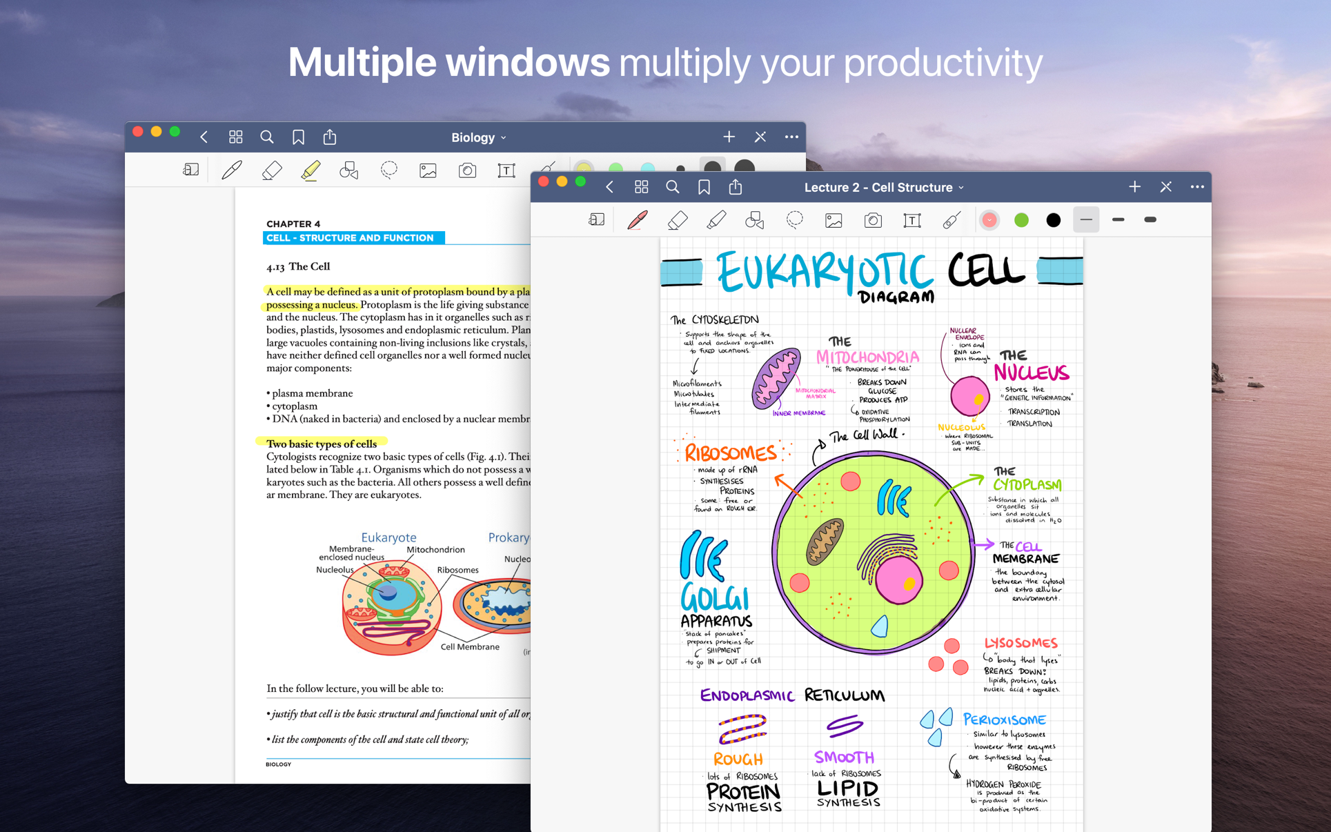 GoodNotes 5.7.43 for Mac screenshot