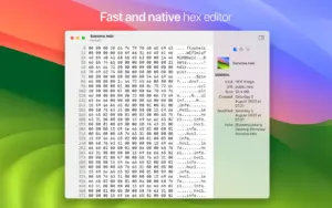 HextEdit 1.0.7 for Mac screenshot