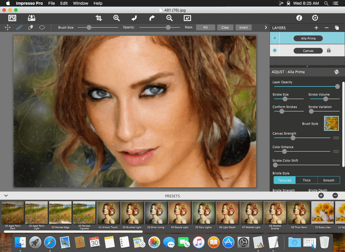 JixiPix Artista Impresso Pro 1.8.29 for Mac screenshot