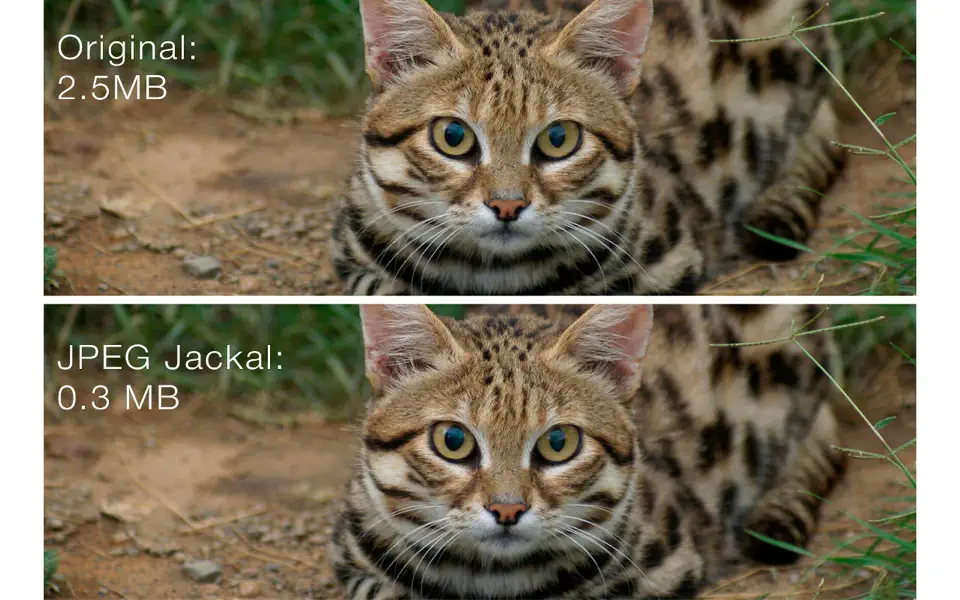 JPEG Jackal 3.1.0 for Mac screenshot
