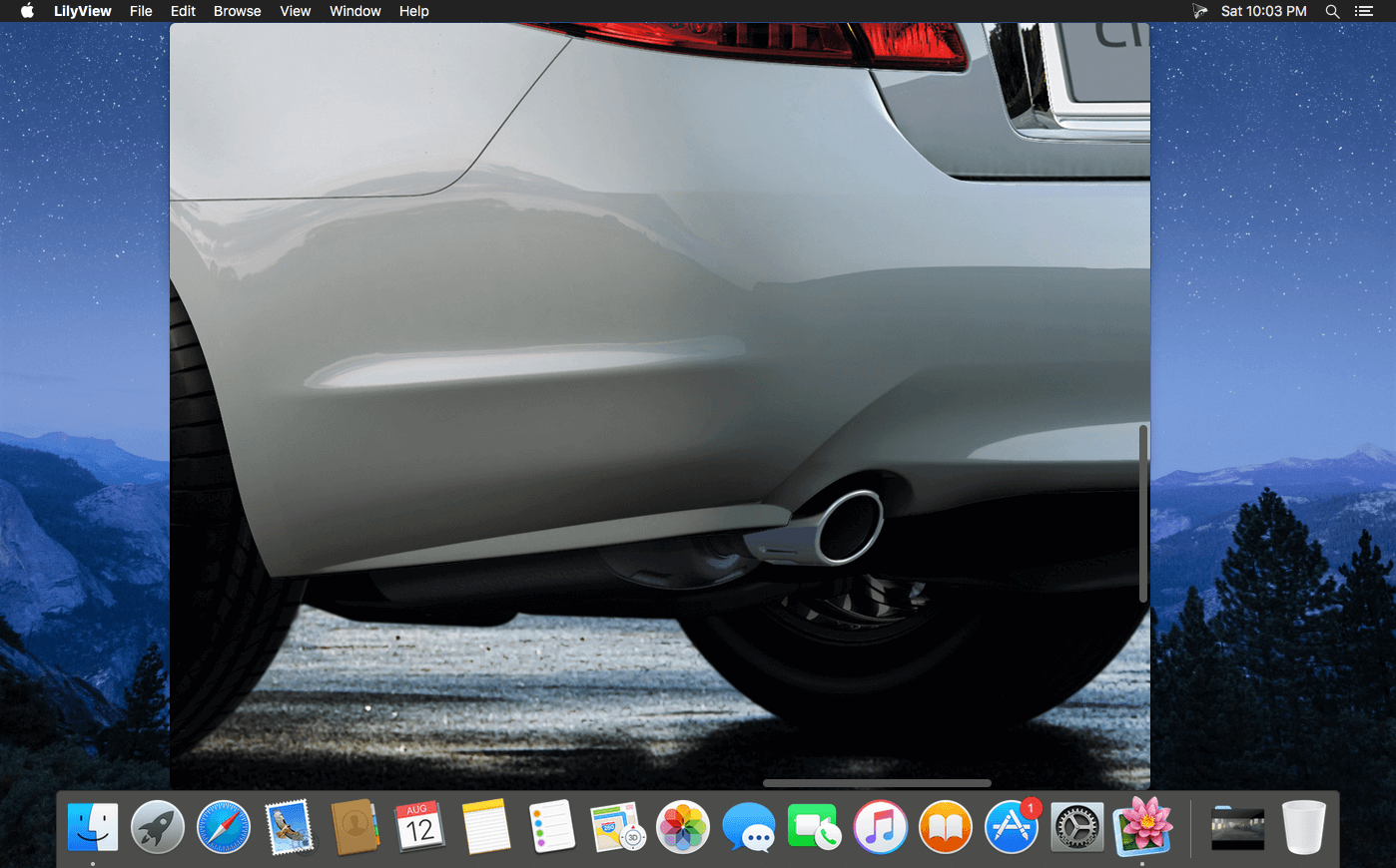 LilyView 1.5.1 for Mac screenshot