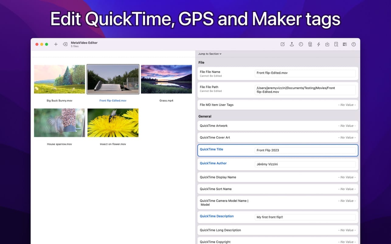 MetaVideo 1.1.6 for Mac screenshot
