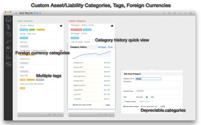 NetWorth Pro 2 v3.4.0 for Mac screenshot