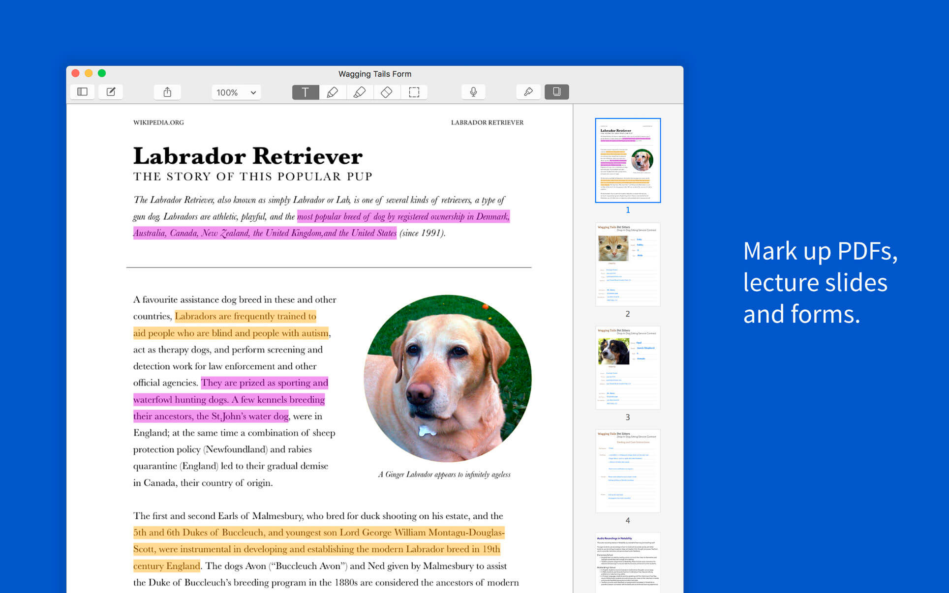 Notability 4.4.2 for Mac screenshot