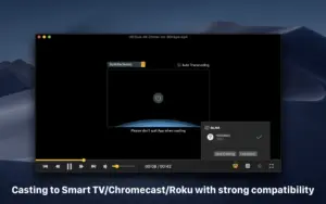OmniPlayer: MKV Video Player 2.1.22 for Mac screenshot