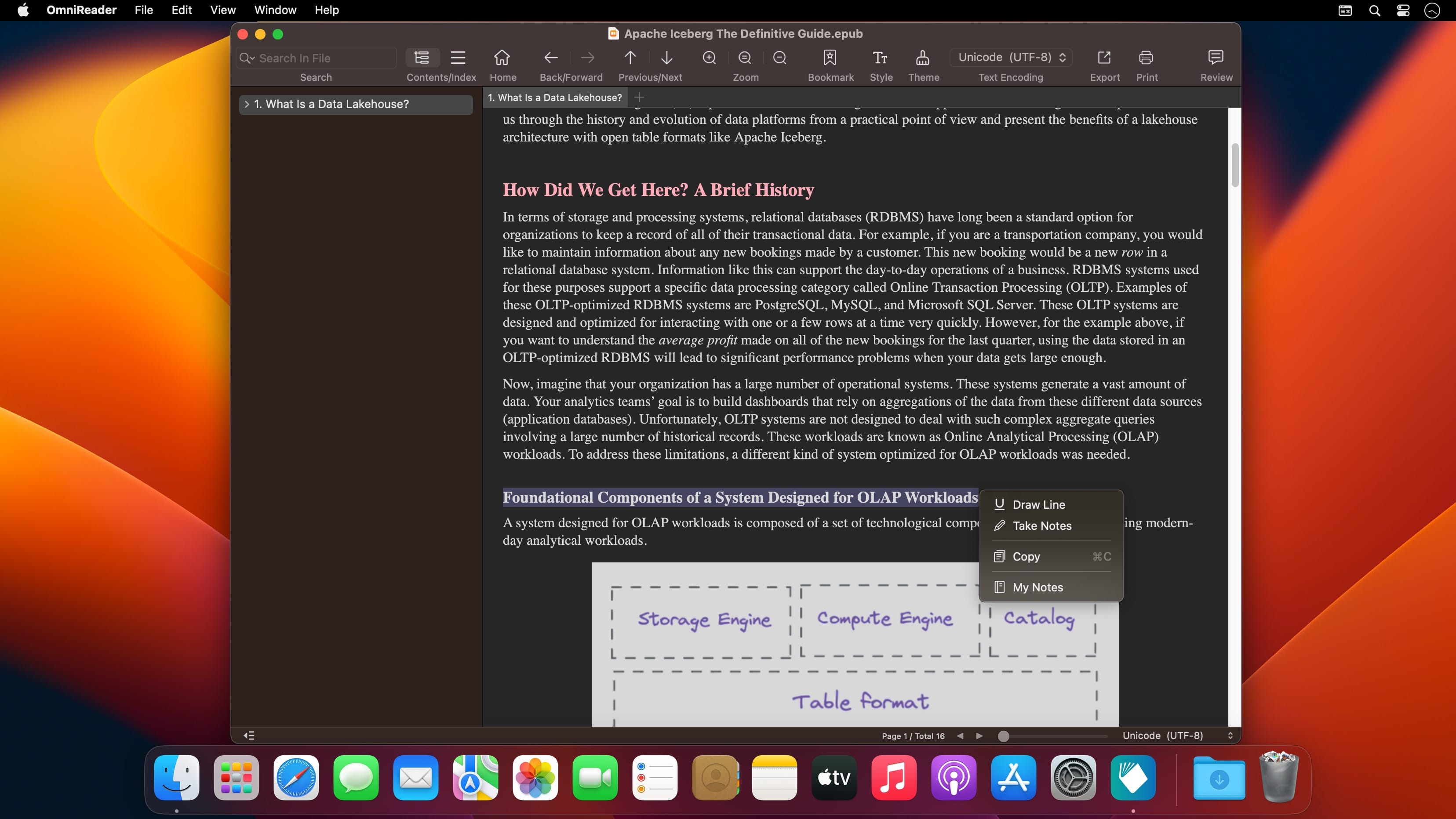 OmniReader Pro 2.9.6 for Mac screenshot