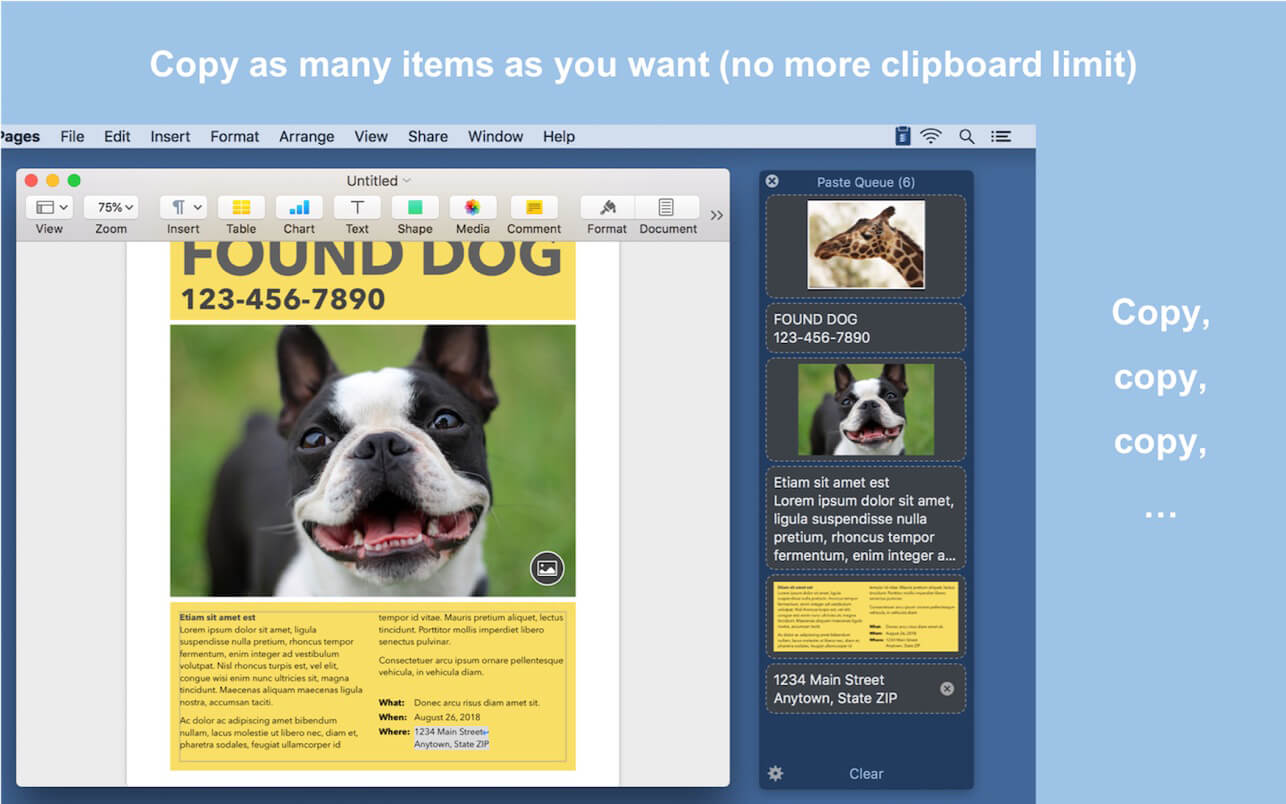 Paste Queue 1.6.3 for Mac screenshot
