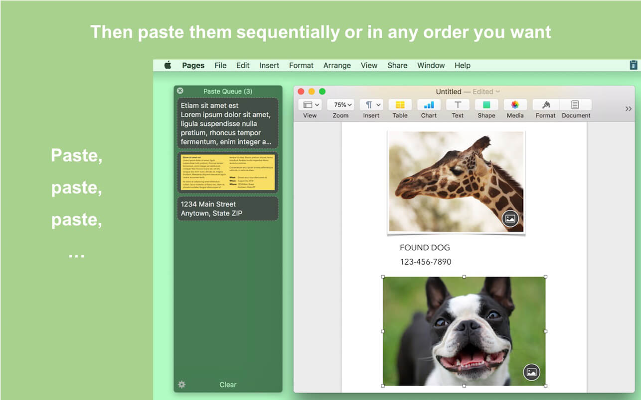 Paste Queue 1.6.3 for Mac screenshot