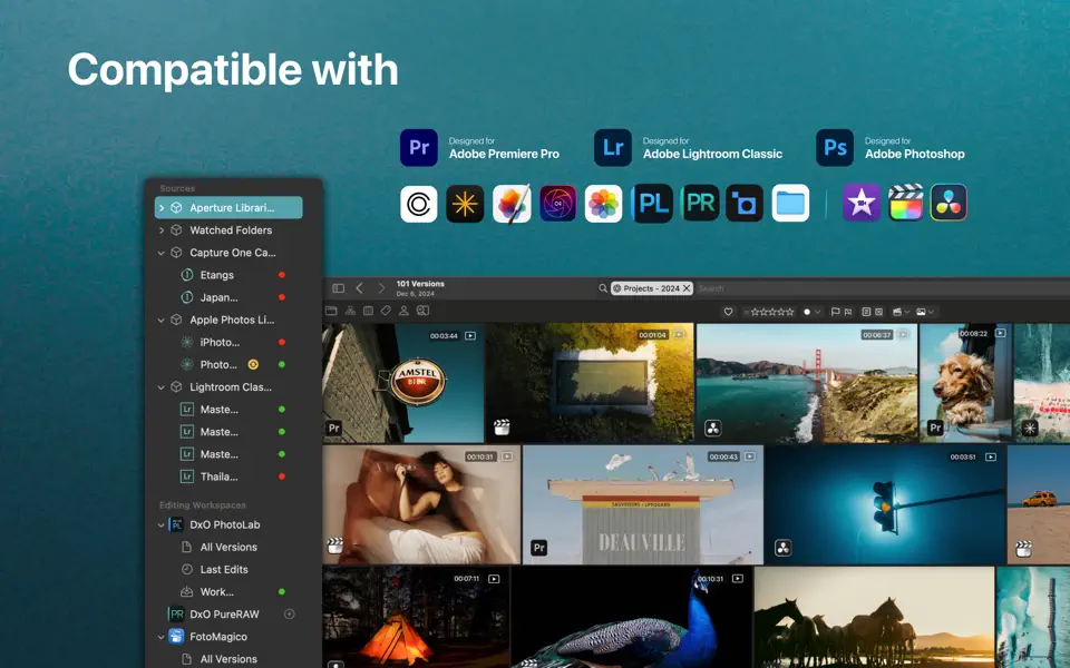 Peakto 2.6.3 – AI Media Organizer for Mac screenshot
