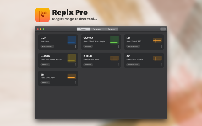 Repix Pro 2.1 for Mac screenshot