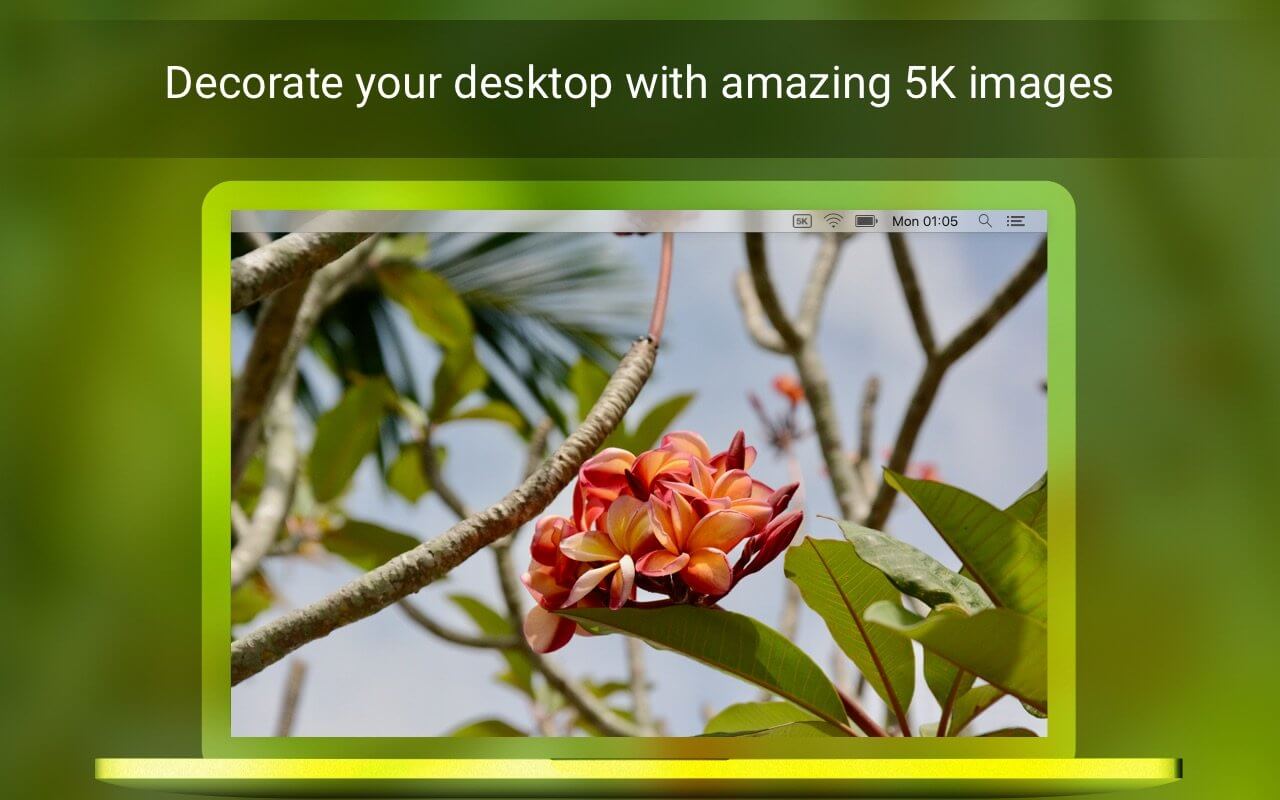 Retina 5K Wallpaper Set 3.4.1 for Mac screenshot