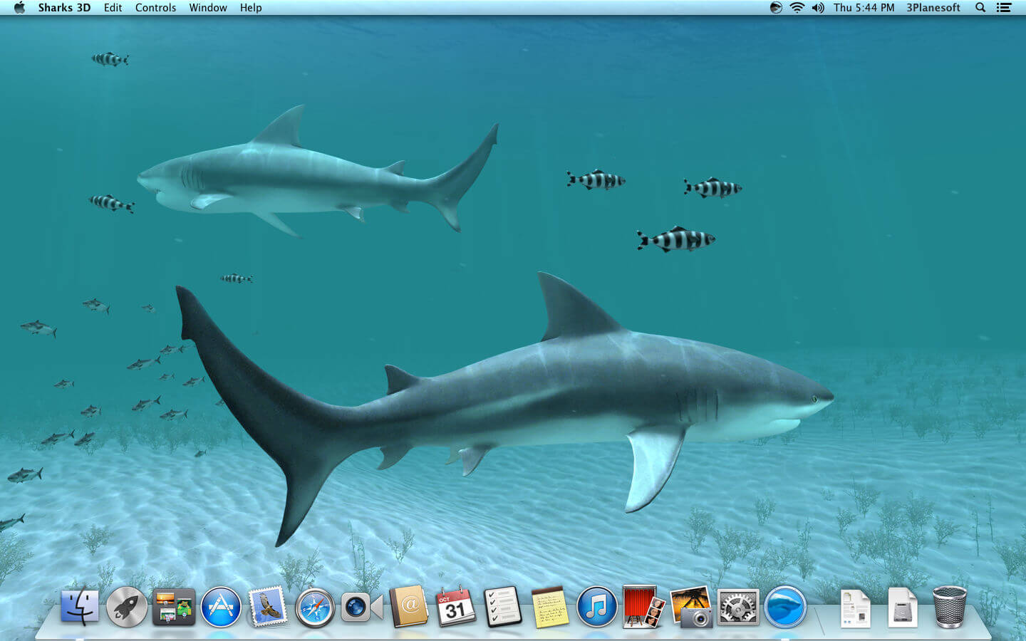 Sharks 3D 2.1.1 for Mac screenshot
