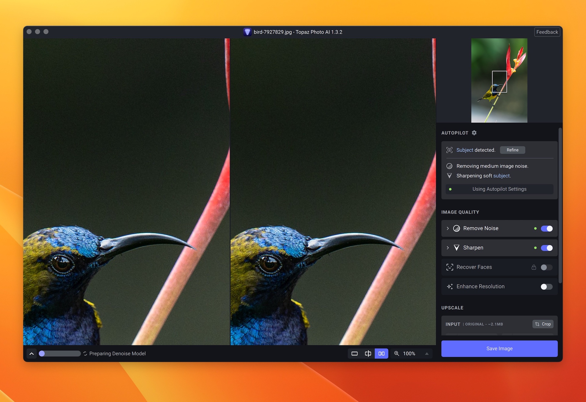 Topaz Photo 1.0.2 for Mac screenshot