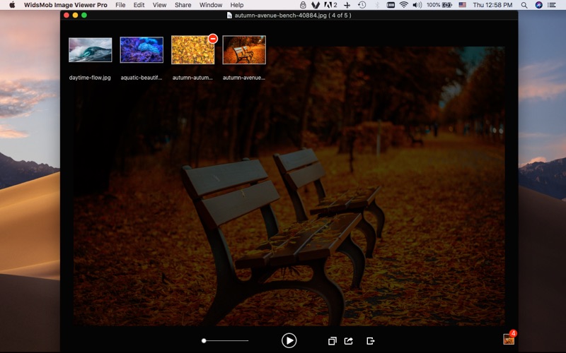 WidsMob Viewer 2.14 for Mac screenshot