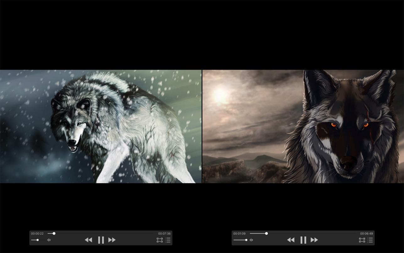 zFuse Pro 1.7.44 for Mac screenshot